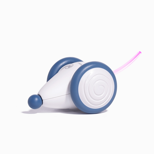 blue interactive mouse toy