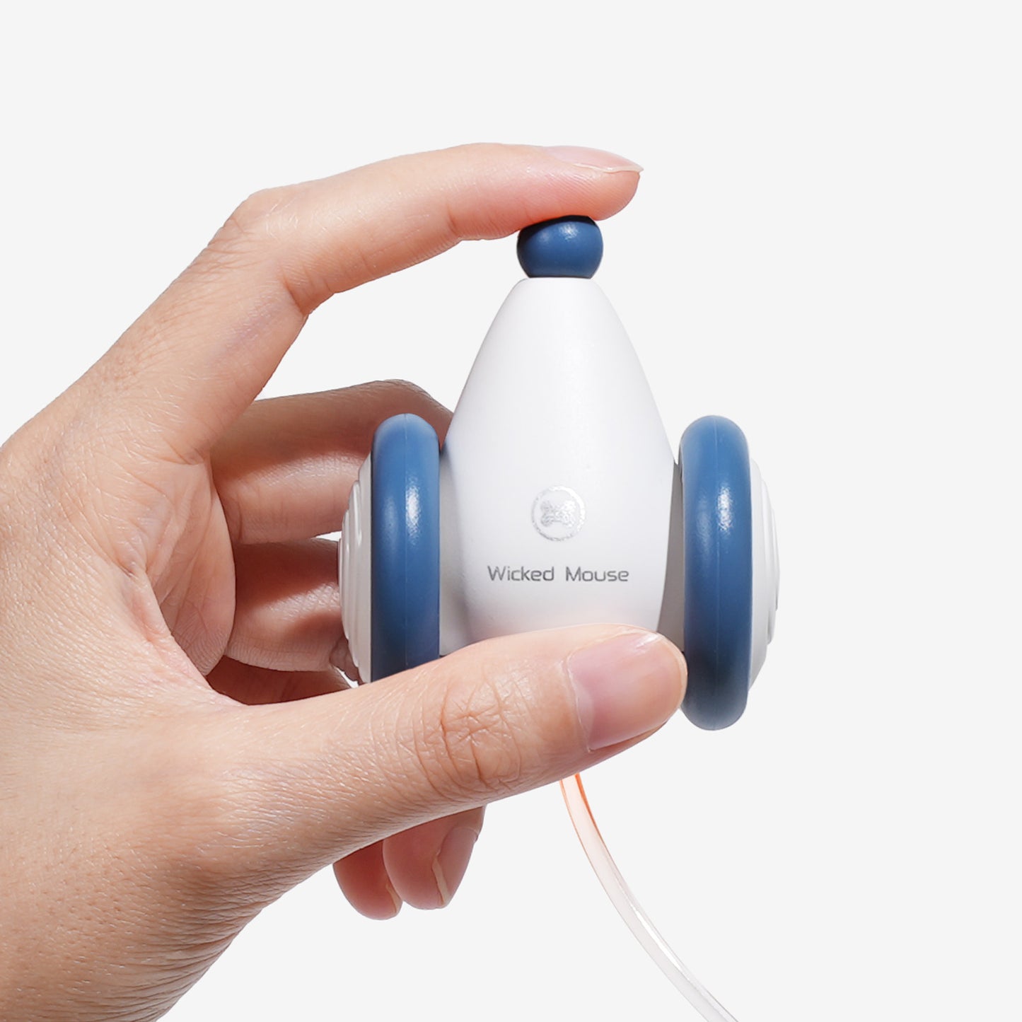 blue interactive mouse toy