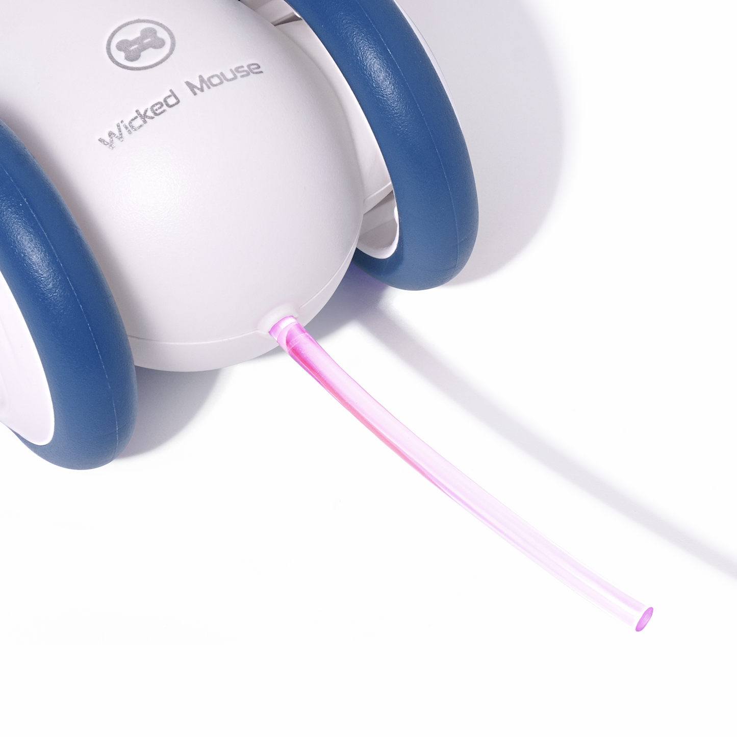 blue interactive mouse toy