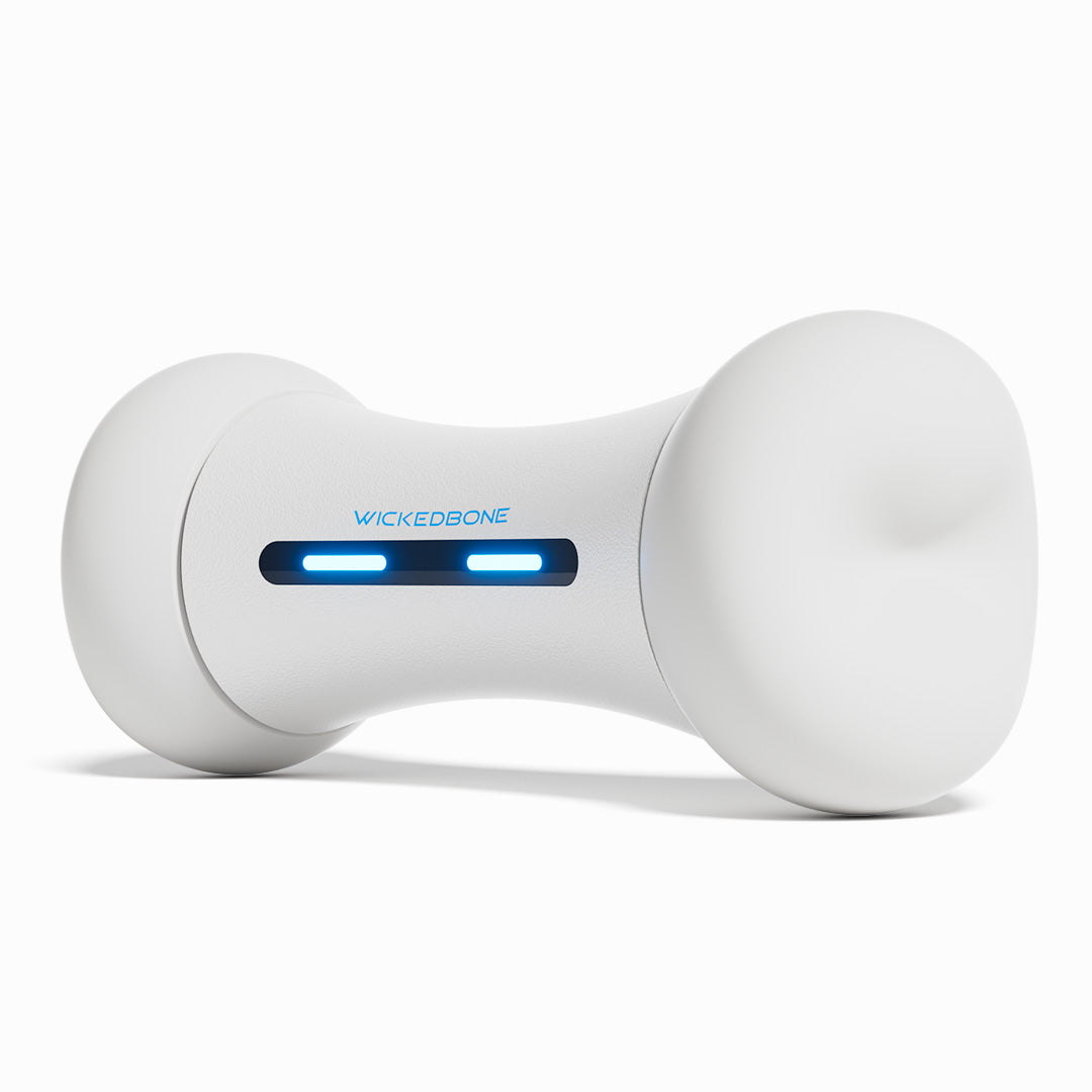 interactive bone cheerble